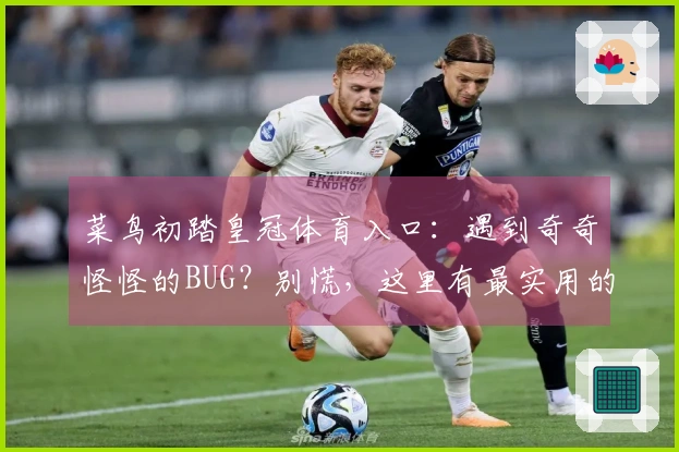 菜鸟初踏皇冠体育入口：遇到奇奇怪怪的BUG？别慌，这里有最实用的解决之道！