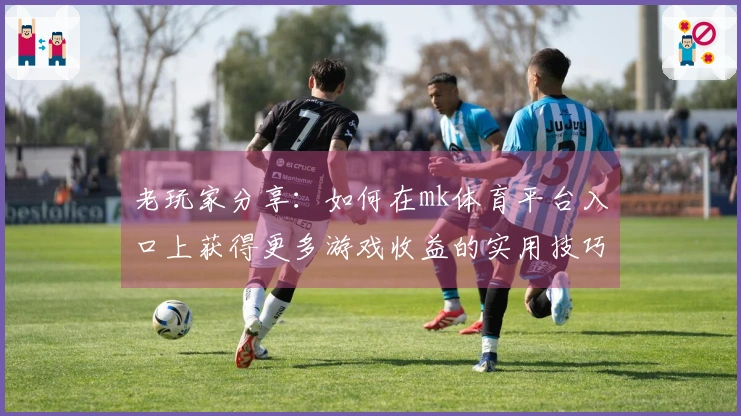 老玩家分享：如何在mk体育平台入口上获得更多游戏收益的实用技巧