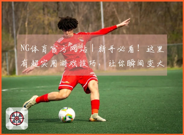 NG体育官方网站｜新手必看！这里有超实用游戏技巧，让你瞬间变大神！