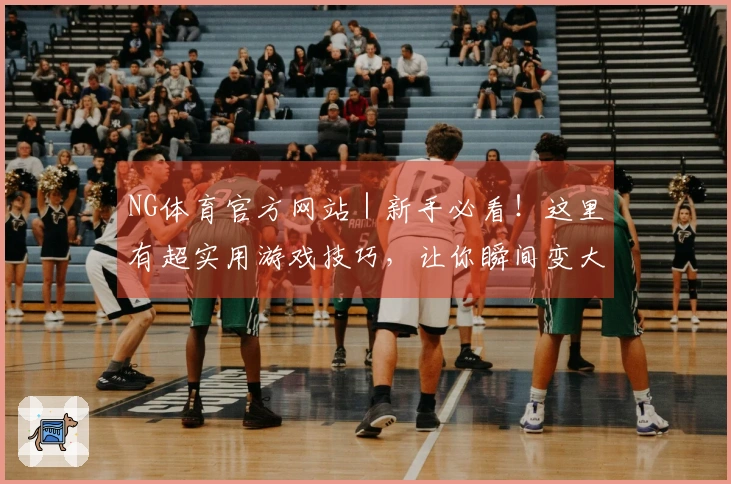 NG体育官方网站｜新手必看！这里有超实用游戏技巧，让你瞬间变大神！